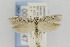  ( - CNCLEP00014147)  @14 [ ] CreativeCommons - Attribution Non-Commercial Share-Alike (2013) Jean-Francois Landry Canadian National Collection