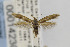  ( - CNCLEP00014230)  @13 [ ] CreativeCommons - Attribution Non-Commercial Share-Alike (2013) Jean-Francois Landry Canadian National Collection