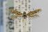  ( - CNCLEP00014232)  @12 [ ] CreativeCommons - Attribution Non-Commercial Share-Alike (2013) Jean-Francois Landry Canadian National Collection