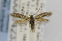  ( - CNCLEP00014233)  @13 [ ] CreativeCommons - Attribution Non-Commercial Share-Alike (2013) Jean-Francois Landry Canadian National Collection