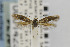  ( - CNCLEP00014235)  @12 [ ] CreativeCommons - Attribution Non-Commercial Share-Alike (2013) Jean-Francois Landry Canadian National Collection