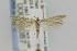  ( - CNCLEP00098087)  @14 [ ] CreativeCommons - Attribution Non-Commercial Share-Alike (2013) Jean-Francois Landry Canadian National Collection