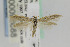  ( - CNCLEP00098088)  @14 [ ] CreativeCommons - Attribution Non-Commercial Share-Alike (2013) Jean-Francois Landry Canadian National Collection