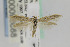  ( - CNCLEP00098088)  @14 [ ] CreativeCommons - Attribution Non-Commercial Share-Alike (2013) Jean-Francois Landry Canadian National Collection