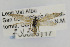  ( - CNCLEP00098117)  @12 [ ] CreativeCommons - Attribution Non-Commercial Share-Alike (2013) Jean-Francois Landry Canadian National Collection