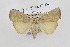  ( - CNCLEP00098234)  @13 [ ] CreativeCommons - Attribution Non-Commercial Share-Alike (2013) Jean-Francois Landry Canadian National Collection