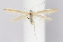  ( - BIRD18966)  @13 [ ] Copyright (2007) Unspecified Canadian National Collection