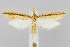  ( - CNCLEP00038591)  @15 [ ] CreativeCommons - Attribution Non-Commercial Share-Alike (2007) Unspecified Canadian National Collection