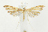  ( - CNCLEP00038618)  @14 [ ] CreativeCommons - Attribution Non-Commercial Share-Alike (2007) Unspecified Canadian National Collection