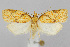  ( - CNCLEP00038630)  @14 [ ] CreativeCommons - Attribution Non-Commercial Share-Alike (2007) Unspecified Canadian National Collection
