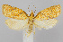  ( - CNCLEP00038633)  @13 [ ] CreativeCommons - Attribution Non-Commercial Share-Alike (2007) Unspecified Canadian National Collection