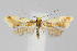  ( - CNCLEP00040222)  @13 [ ] CreativeCommons - Attribution Non-Commercial Share-Alike (2007) Unspecified Canadian National Collection