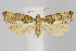  ( - CNCLEP00040339)  @14 [ ] CreativeCommons - Attribution Non-Commercial Share-Alike (2007) Unspecified Canadian National Collection