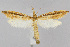  ( - CNCLEP00040363)  @15 [ ] CreativeCommons - Attribution Non-Commercial Share-Alike (2007) Unspecified Canadian National Collection