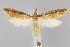  ( - CNCLEP00040364)  @15 [ ] CreativeCommons - Attribution Non-Commercial Share-Alike (2007) Unspecified Canadian National Collection