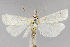  ( - CNCLEP00040369)  @13 [ ] CreativeCommons - Attribution Non-Commercial Share-Alike (2007) Unspecified Canadian National Collection