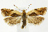  ( - CNCLEP00040572)  @14 [ ] CreativeCommons - Attribution Non-Commercial Share-Alike (2007) Unspecified Canadian National Collection