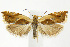  ( - CNCLEP00040573)  @13 [ ] CreativeCommons - Attribution Non-Commercial Share-Alike (2007) Unspecified Canadian National Collection