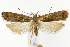  ( - CNCLEP00040609)  @15 [ ] CreativeCommons - Attribution Non-Commercial Share-Alike (2007) Unspecified Canadian National Collection