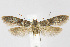  ( - CNCLEP00040966)  @14 [ ] CreativeCommons - Attribution Non-Commercial Share-Alike (2007) Unspecified Canadian National Collection