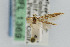  ( - CNCLEP00000560)  @11 [ ] CreativeCommons - Attribution Non-Commercial Share-Alike (2007) Unspecified Canadian National Collection