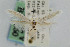  ( - CNCLEP00001013)  @13 [ ] CreativeCommons - Attribution Non-Commercial Share-Alike (2007) Unspecified Canadian National Collection
