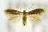  ( - CNCLEP00008821)  @14 [ ] CreativeCommons - Attribution Non-Commercial Share-Alike (2007) Unspecified Canadian National Collection