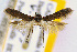  ( - CNCLEP00056060)  @12 [ ] CreativeCommons - Attribution Non-Commercial Share-Alike (2007) Unspecified Canadian National Collection