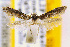  ( - CNCLEP00056061)  @13 [ ] CreativeCommons - Attribution Non-Commercial Share-Alike (2007) Unspecified Canadian National Collection