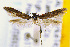  ( - CNCLEP00056063)  @11 [ ] CreativeCommons - Attribution Non-Commercial Share-Alike (2007) Unspecified Canadian National Collection