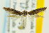  ( - CNCLEP00056069)  @12 [ ] CreativeCommons - Attribution Non-Commercial Share-Alike (2007) Unspecified Canadian National Collection