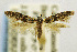  ( - CNCLEP00056072)  @11 [ ] CreativeCommons - Attribution Non-Commercial Share-Alike (2007) Unspecified Canadian National Collection