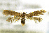  ( - CNCLEP00056101)  @11 [ ] CreativeCommons - Attribution Non-Commercial Share-Alike (2007) Unspecified Canadian National Collection