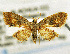 ( - CNCLEP00056112)  @13 [ ] CreativeCommons - Attribution Non-Commercial Share-Alike (2007) Unspecified Canadian National Collection