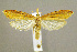  ( - CNCLEP00059885)  @15 [ ] CreativeCommons - Attribution Non-Commercial Share-Alike (2007) Unspecified Canadian National Collection