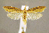  ( - CNCLEP00059886)  @14 [ ] CreativeCommons - Attribution Non-Commercial Share-Alike (2007) Unspecified Canadian National Collection
