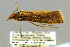  ( - CNCLEP00059891)  @11 [ ] CreativeCommons - Attribution Non-Commercial Share-Alike (2007) Unspecified Canadian National Collection