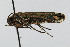  ( - CNCLEP00060111)  @12 [ ] CreativeCommons - Attribution Non-Commercial Share-Alike (2007) Unspecified Canadian National Collection