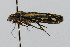  ( - CNCLEP00060114)  @12 [ ] CreativeCommons - Attribution Non-Commercial Share-Alike (2007) Unspecified Canadian National Collection