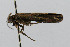  ( - CNCLEP00060115)  @12 [ ] CreativeCommons - Attribution Non-Commercial Share-Alike (2007) Unspecified Canadian National Collection