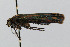  ( - CNCLEP00060116)  @12 [ ] CreativeCommons - Attribution Non-Commercial Share-Alike (2007) Unspecified Canadian National Collection