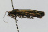  ( - CNCLEP00060117)  @12 [ ] CreativeCommons - Attribution Non-Commercial Share-Alike (2007) Unspecified Canadian National Collection