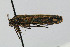  ( - CNCLEP00060118)  @12 [ ] CreativeCommons - Attribution Non-Commercial Share-Alike (2007) Unspecified Canadian National Collection