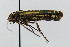  ( - CNCLEP00060120)  @12 [ ] CreativeCommons - Attribution Non-Commercial Share-Alike (2007) Unspecified Canadian National Collection