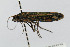  ( - CNCLEP00060123)  @12 [ ] CreativeCommons - Attribution Non-Commercial Share-Alike (2007) Unspecified Canadian National Collection
