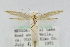  ( - CNCLEP00001014)  @11 [ ] CreativeCommons - Attribution Non-Commercial Share-Alike (2007) Unspecified Canadian National Collection
