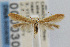  ( - CNCLEP00003083)  @12 [ ] CreativeCommons - Attribution Non-Commercial Share-Alike (2007) Unspecified Canadian National Collection