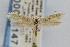  ( - CNCLEP00003147)  @14 [ ] CreativeCommons - Attribution Non-Commercial Share-Alike (2007) Unspecified Canadian National Collection