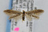  ( - CNCLEP00010866)  @14 [ ] CreativeCommons - Attribution Non-Commercial Share-Alike (2007) Unspecified Canadian National Collection