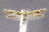  ( - CNCLEP00011022)  @14 [ ] CreativeCommons - Attribution Non-Commercial Share-Alike (2007) Unspecified Canadian National Collection